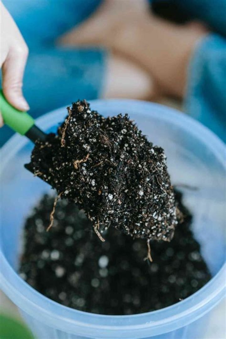 Can I put old potting soil in my compost?