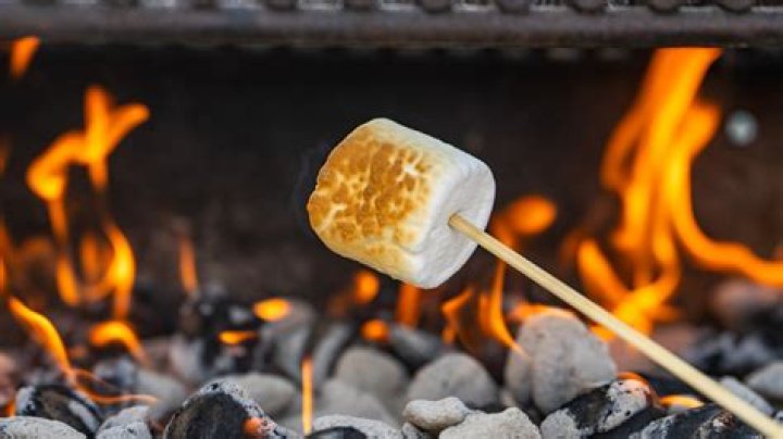 Can I roast marshmallows over a Duraflame log?