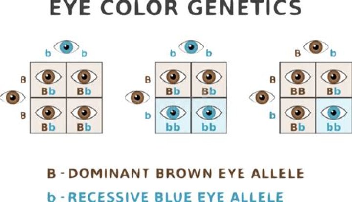 Can I switch eye dominance?