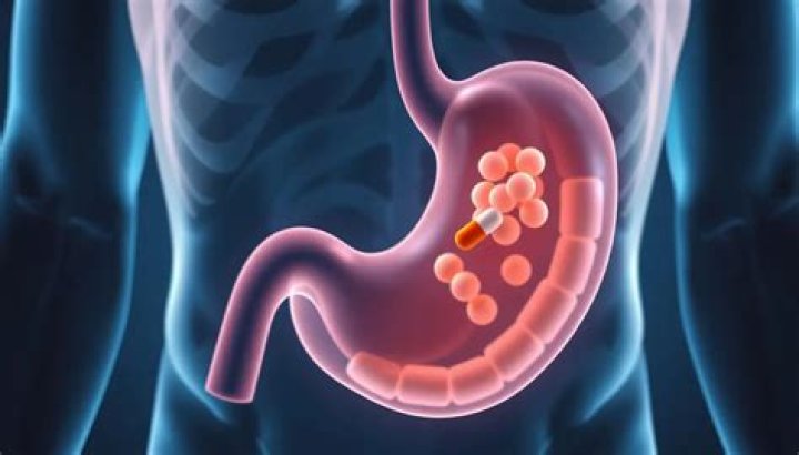 Can I take amoxicillin on an empty stomach?