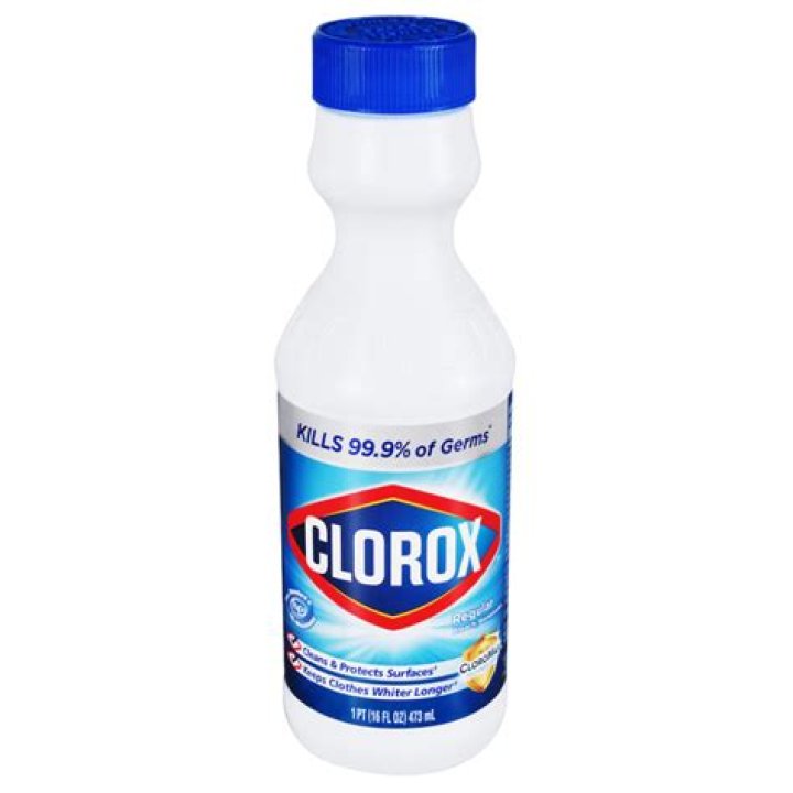 Can I use Clorox bleach in my pool?