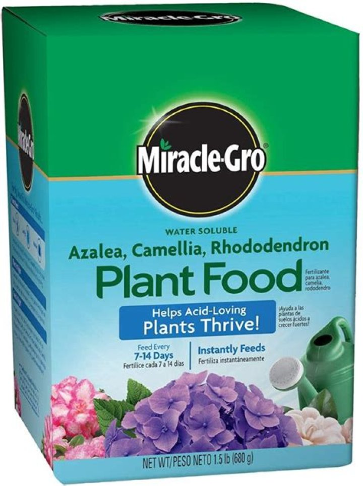 Can I use Miracle Grow on rhododendrons?