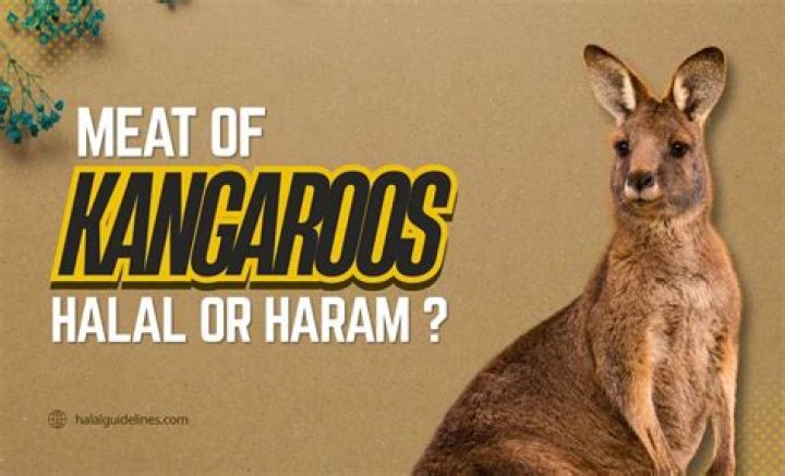 Can kangaroo be halal?