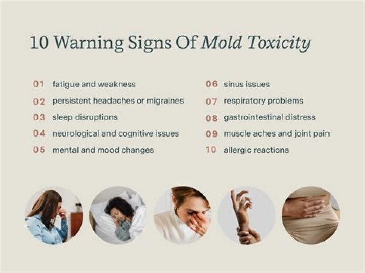 Can mold make you sleepy?