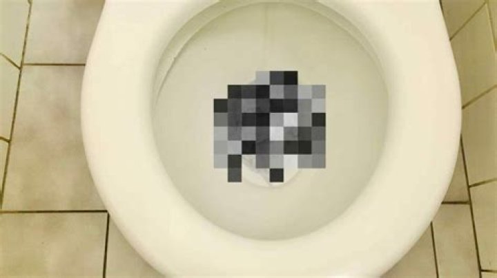 Can poop clog a toilet?