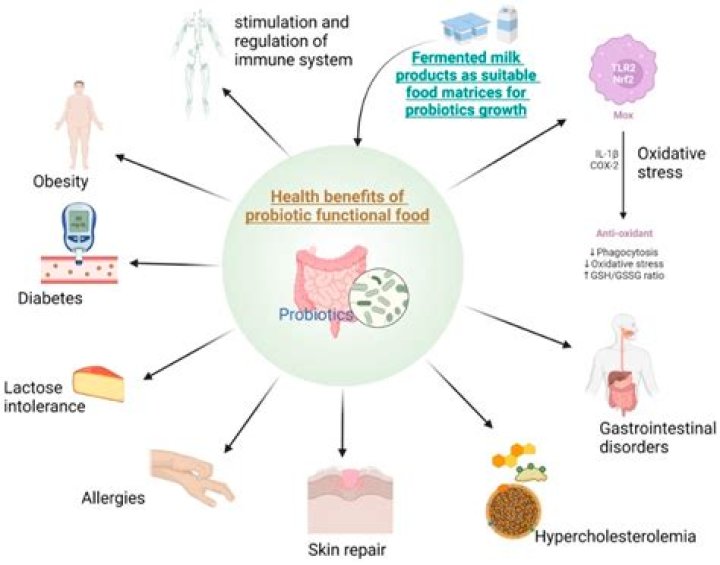 Can probiotics affect your liver?