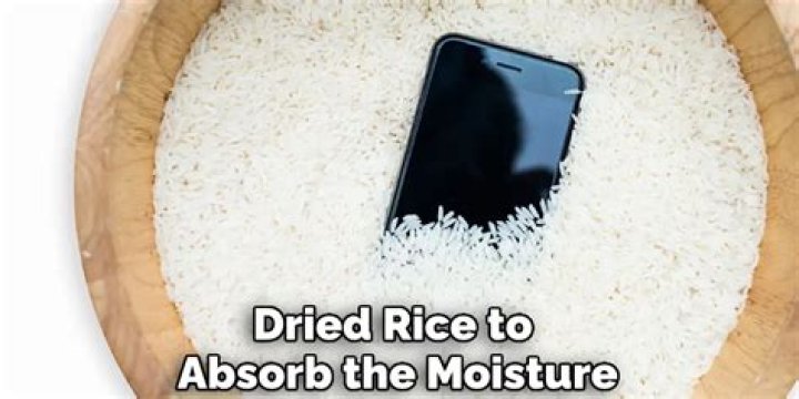Can rice absorb oil from a phone?