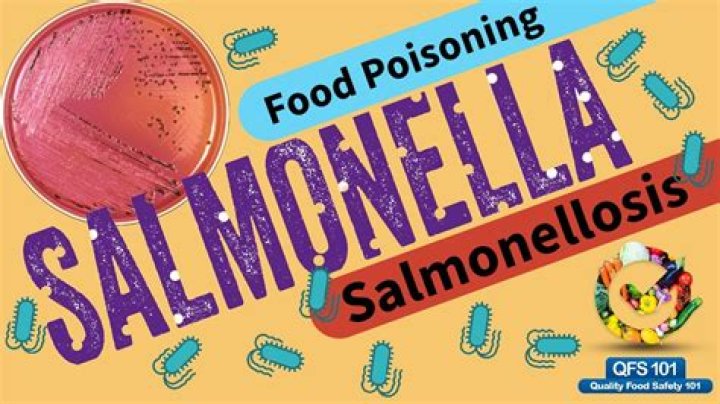 Can Salmonella last 2 weeks?