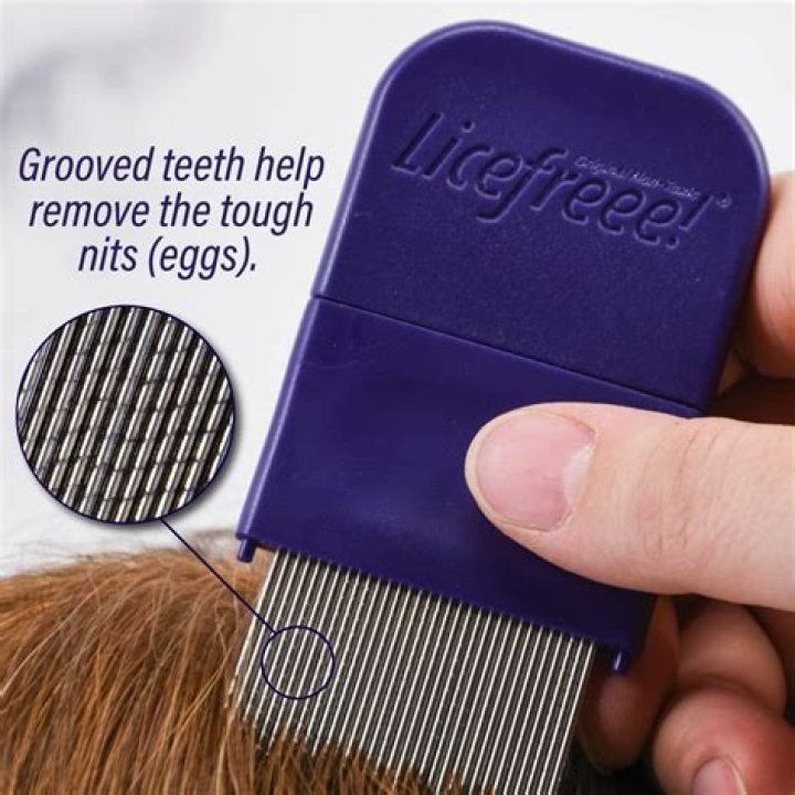 Can sea lice live in hair?
