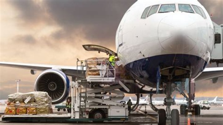 Can someone survive in the cargo hold of a plane?