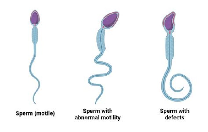Can sperm infect a piercing?