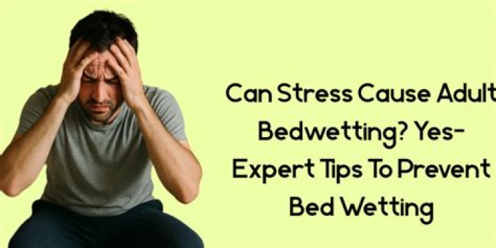 Can stress cause bed wetting in adults?