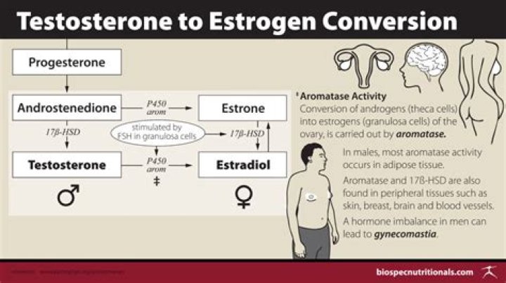 Can stress cause low estrogen?
