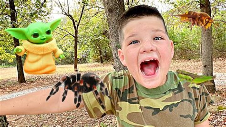 Can tarantula hear?