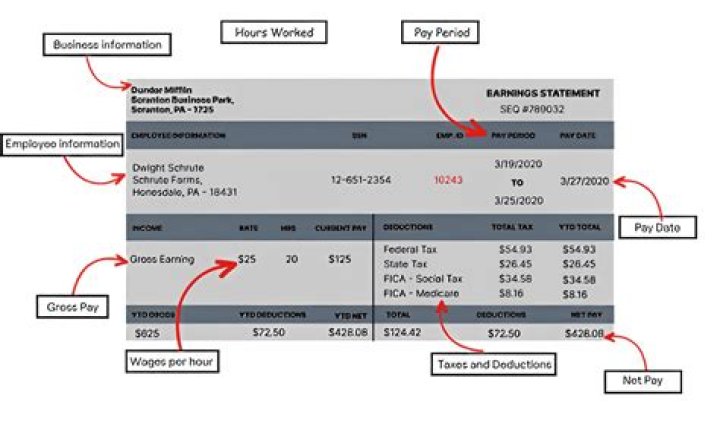 Can the IRS take all of your paycheck?