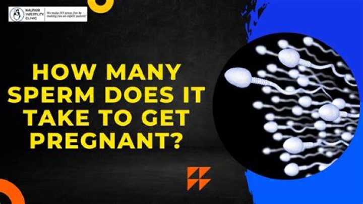 Can the second round sperm make you pregnant?