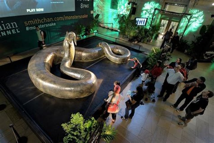 Can Titanoboa come back?
