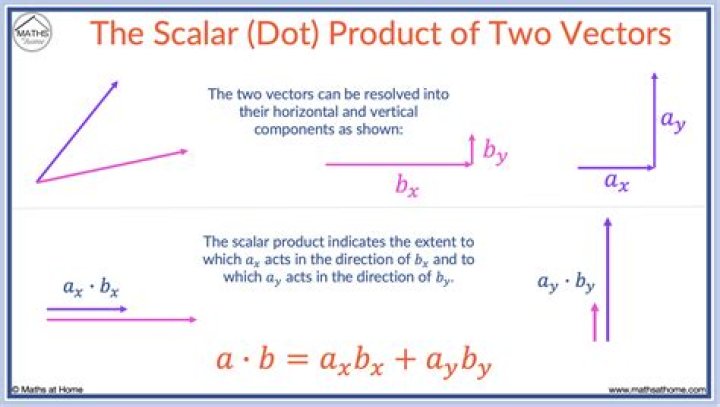 Can we add two scalars?
