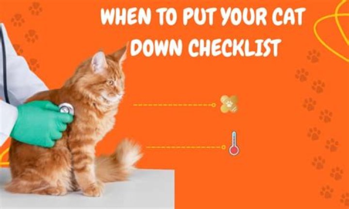 Can you ask your vet to put your cat down?