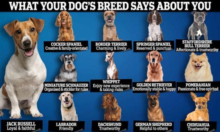 Can you breed dogs with same father but different mothers?
