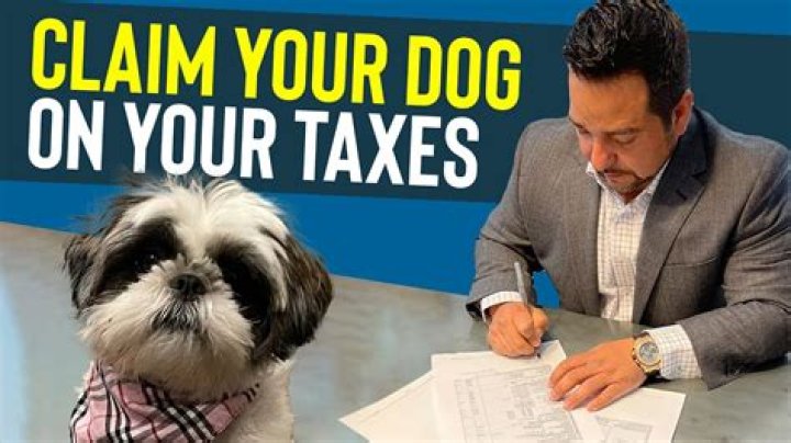 Can you claim your dog on your taxes?