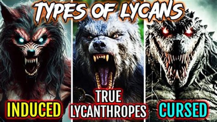 Can you cure AELA of lycanthropy?