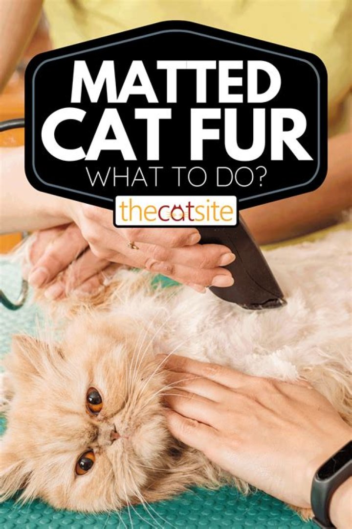 Can you cut off matted fur?