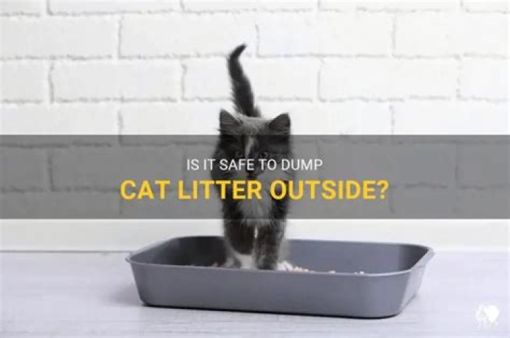 Can you dump cat litter outside?