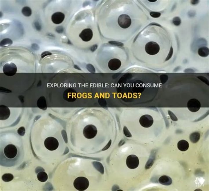 Can you eat frogs and toads?
