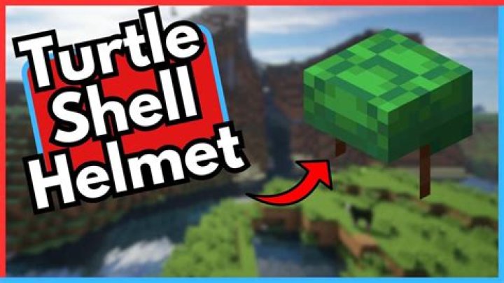 Can you enchant a turtle helmet?