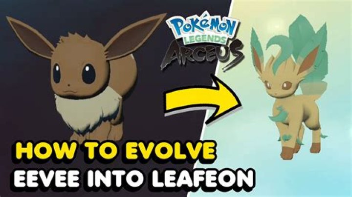 Can you evolve an alpha Eevee?