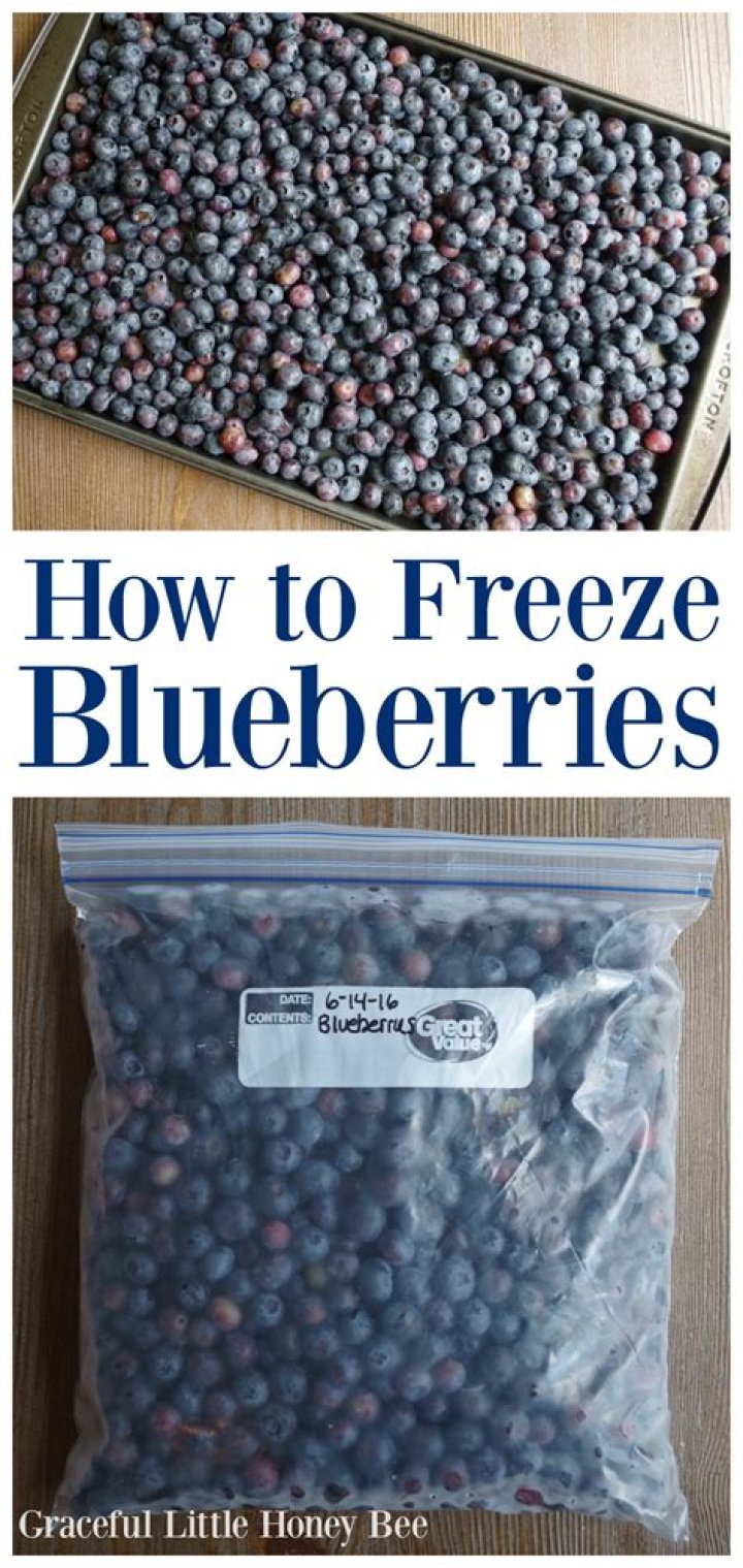 Can you freeze blueberries?