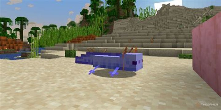 Can you get a green axolotl in Minecraft?