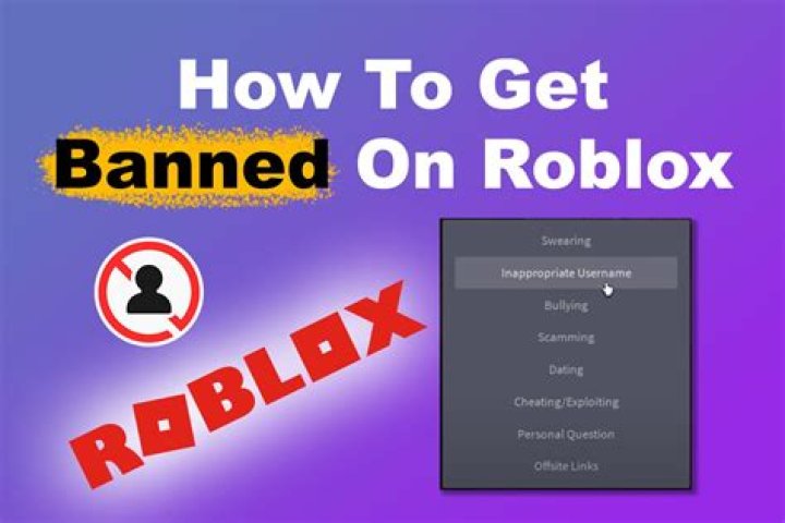 Can you get banned for being toxic in Roblox?