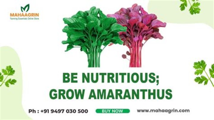 Can you grow at 15?