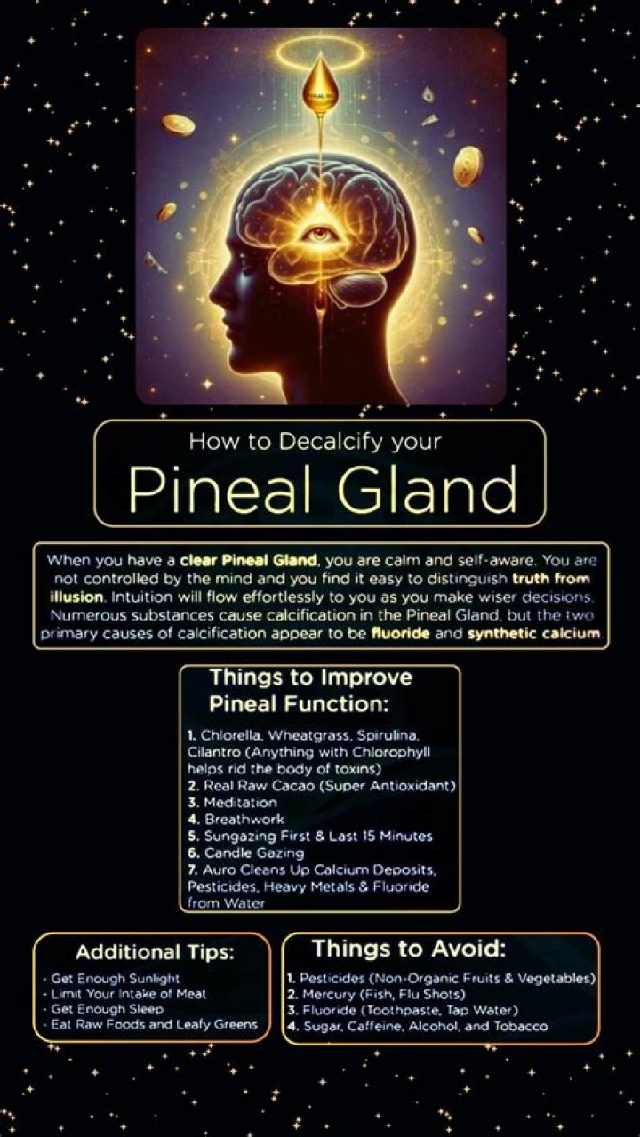 Can you live without your pineal gland?
