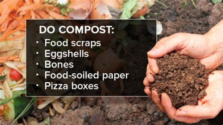 Can you put rotting fruit in the compost?