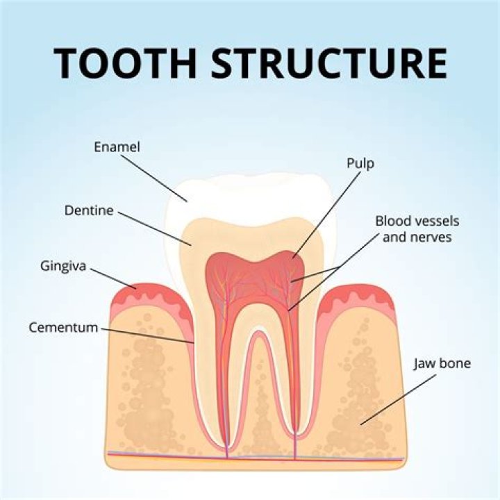 Can you rebuild your enamel?