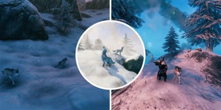 Can you ride Wolf Link?