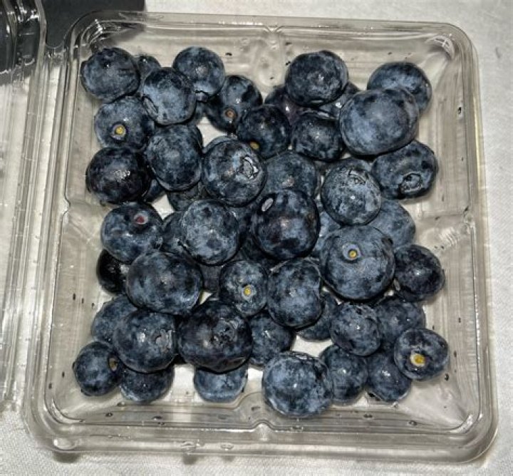 Can you rinse mold off blueberries?