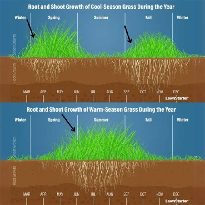 Can you seed grass on top of grass?