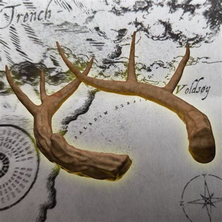Can you take antlers from roadkill?