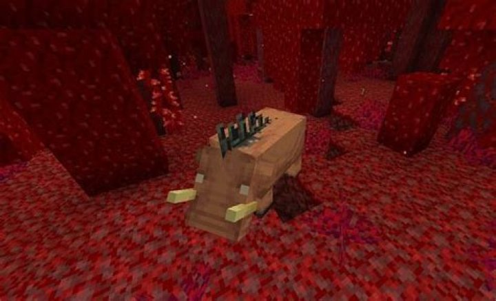 Can you tame Hoglins?