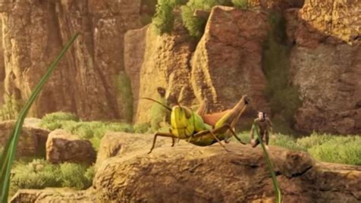 Can you train a spider?