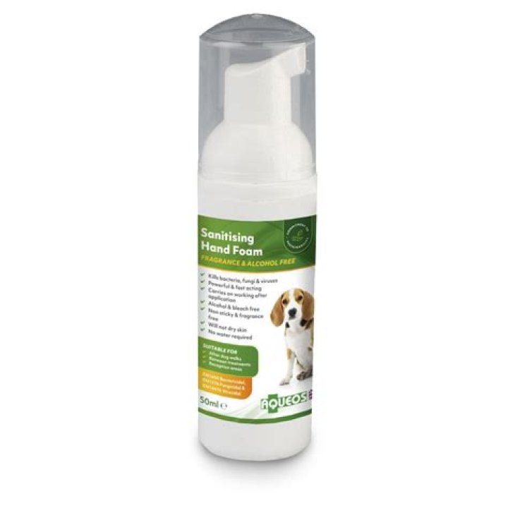 Can you use antibacterial soap on a dog?