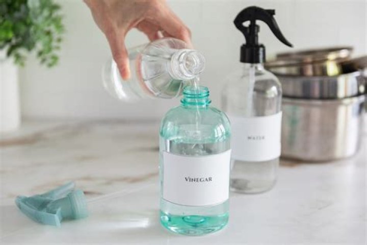 Can you use cleaning vinegar on paint?