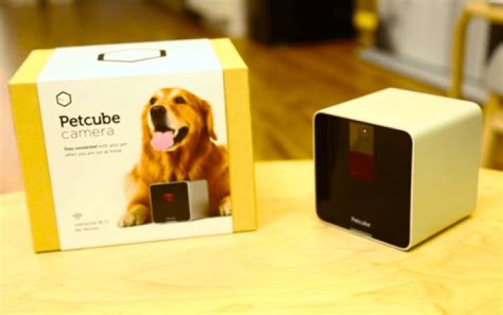 Can you use Petcube away from home?