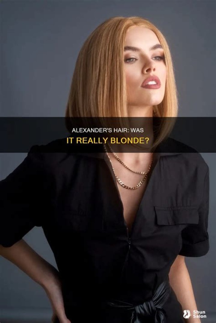 Did Alexander have blonde hair?