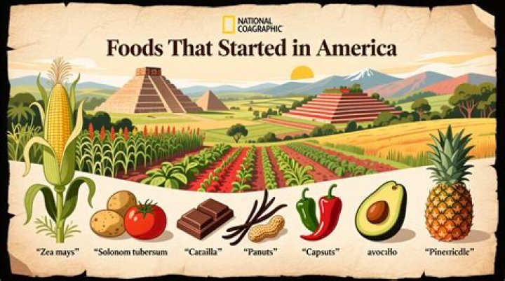 Did corn originated in America?