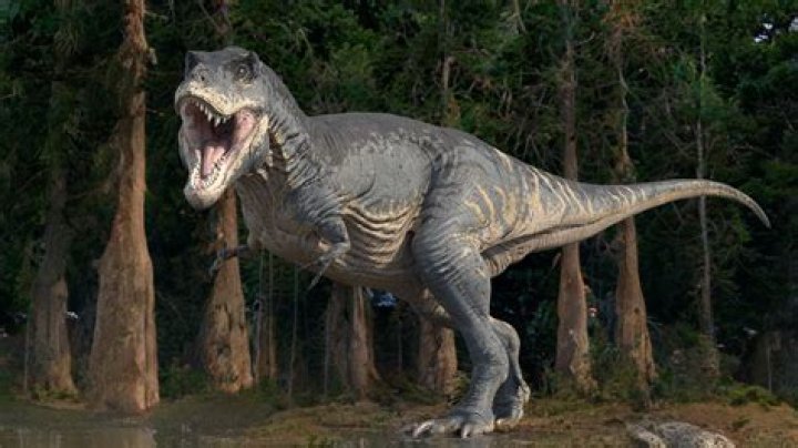 Did T. rex have any predators?